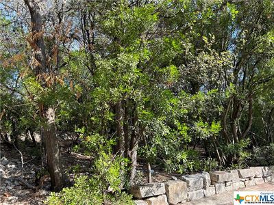 588 Clearfield Dr, New Braunfels, TX, 78130