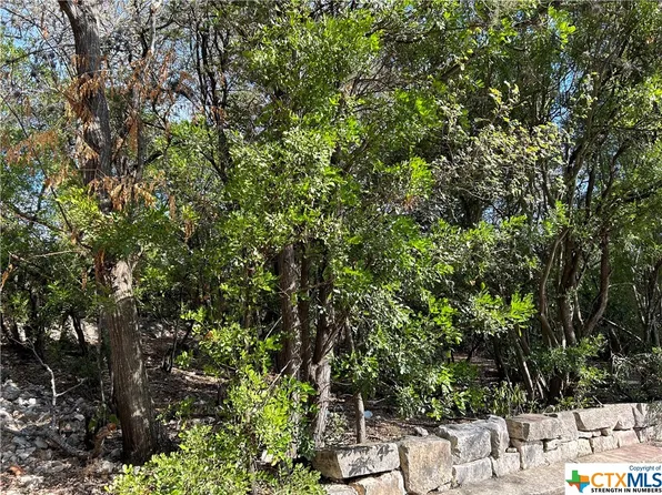 588 Clearfield Dr, New Braunfels, TX 78130