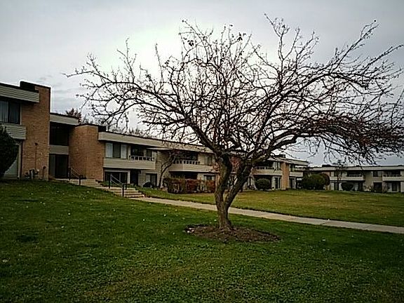 3rd image of 1025 N Sterling Ave APT 213