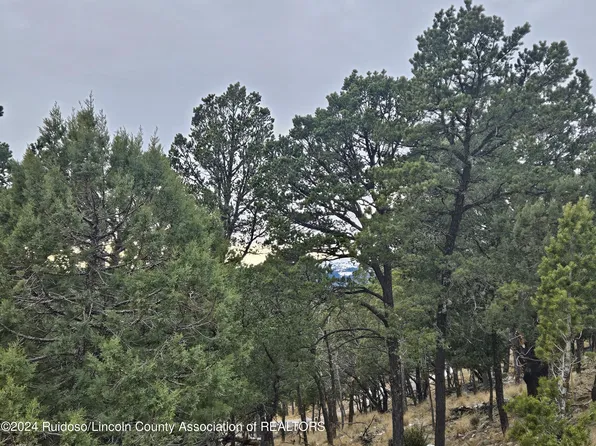 LOT 20 Blue Ridge Dr, Alto, NM 88312