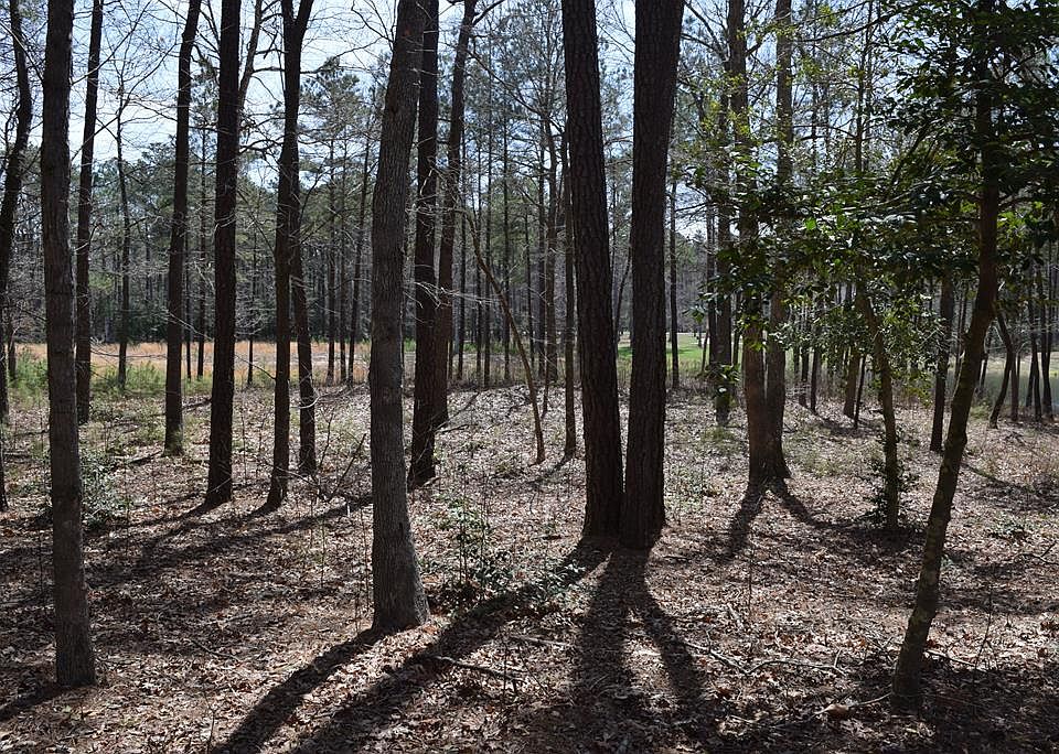 LOT 75 Scarburgh Ln, Horntown, VA 23395 MLS 53478 Zillow
