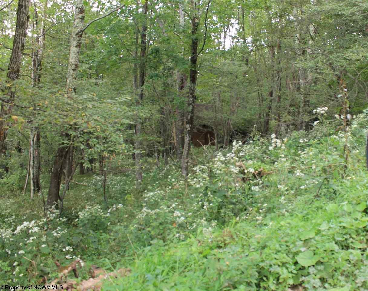 LOT 31 W Meadows Rd Harman WV 26270 MLS 10132145 Zillow