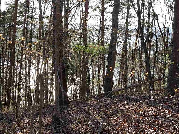 3rd image of 0 Oak Tree Dr Lot 408