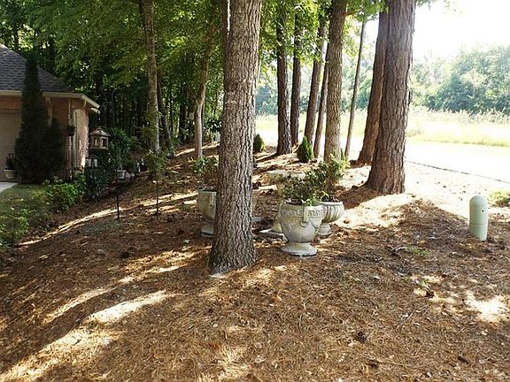 2nd image of 202 Knollwood Dr