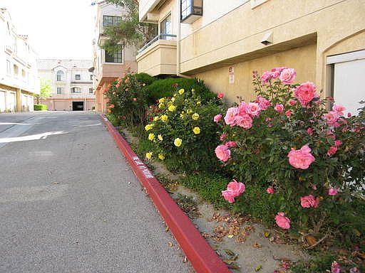 3rd image of 18141 Erik Ct Unit 242