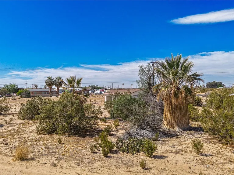 4611 Oasis Ave — Photo 35
