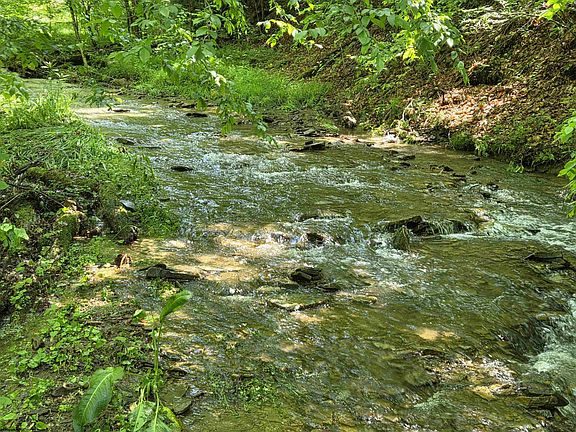 4th image of 1271 Big Mill Run Rd