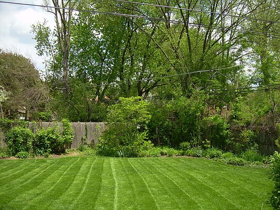 Fenced in Back Yard