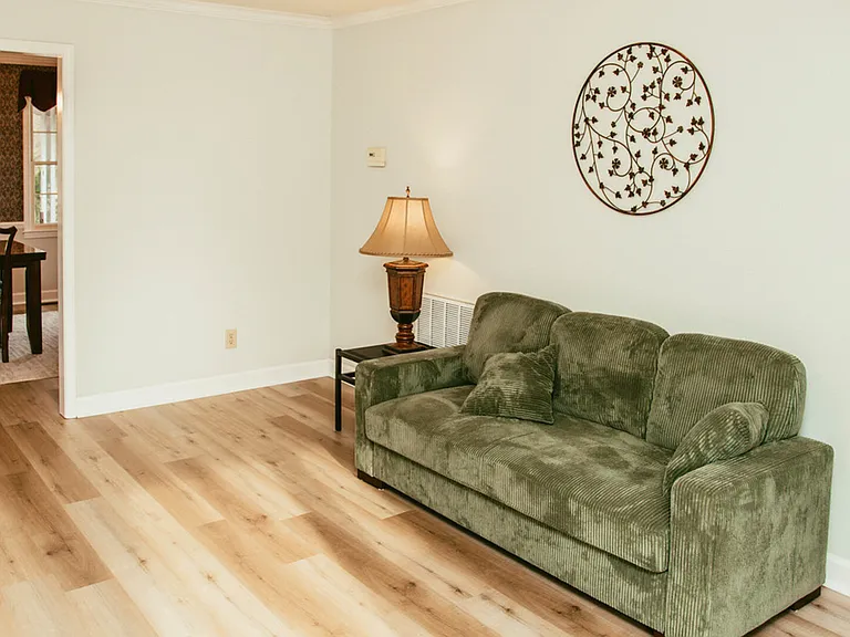 Lemon Creek Dr — Photo 19