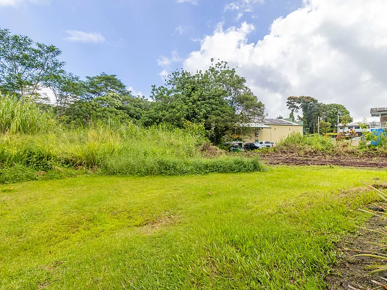 15-2885 Pahoa Village Rd — Photo 3