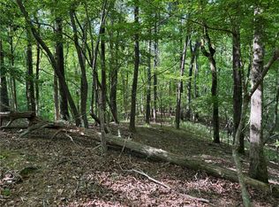 0 High Shoals Dr #4-5, Dahlonega, GA 30533