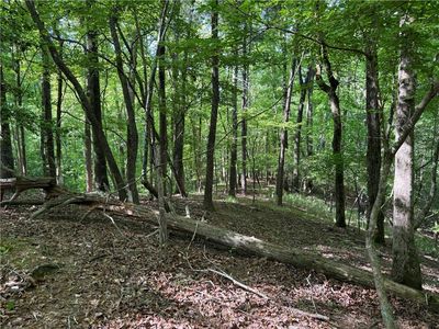 0 High Shoals Dr #4-5, Dahlonega, GA, 30533