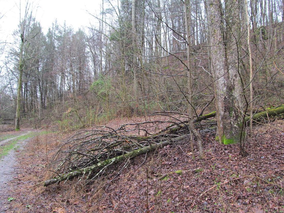 2nd image of 421 Dusty Ln