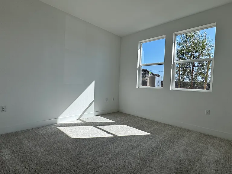 153 Sora — Photo 12