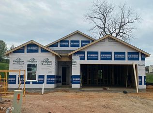 139 Mint Ct, Bluff City, TN 37618