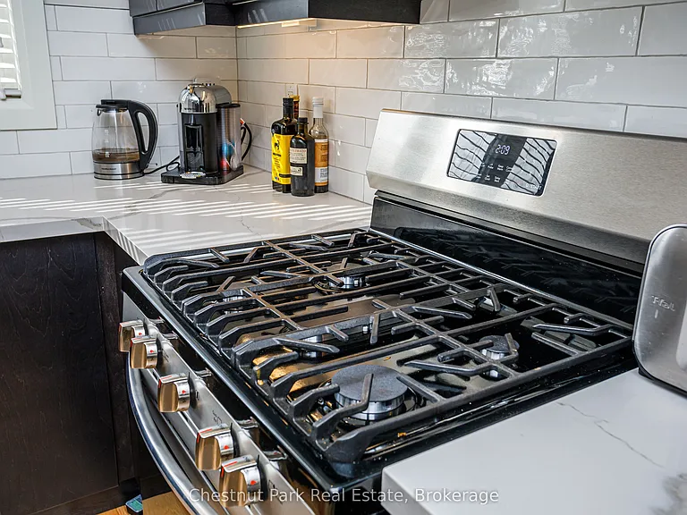 106 Alpine Springs Ct #10 — Photo 20