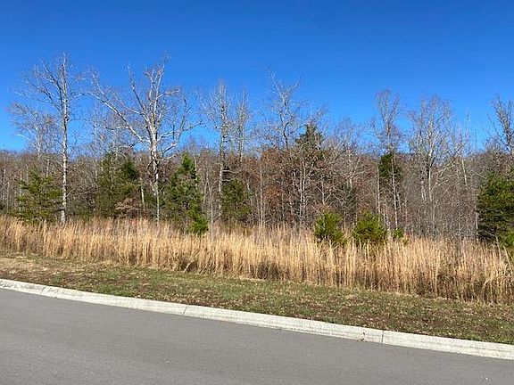 3rd image of 308 Caney View Dr Lot 5