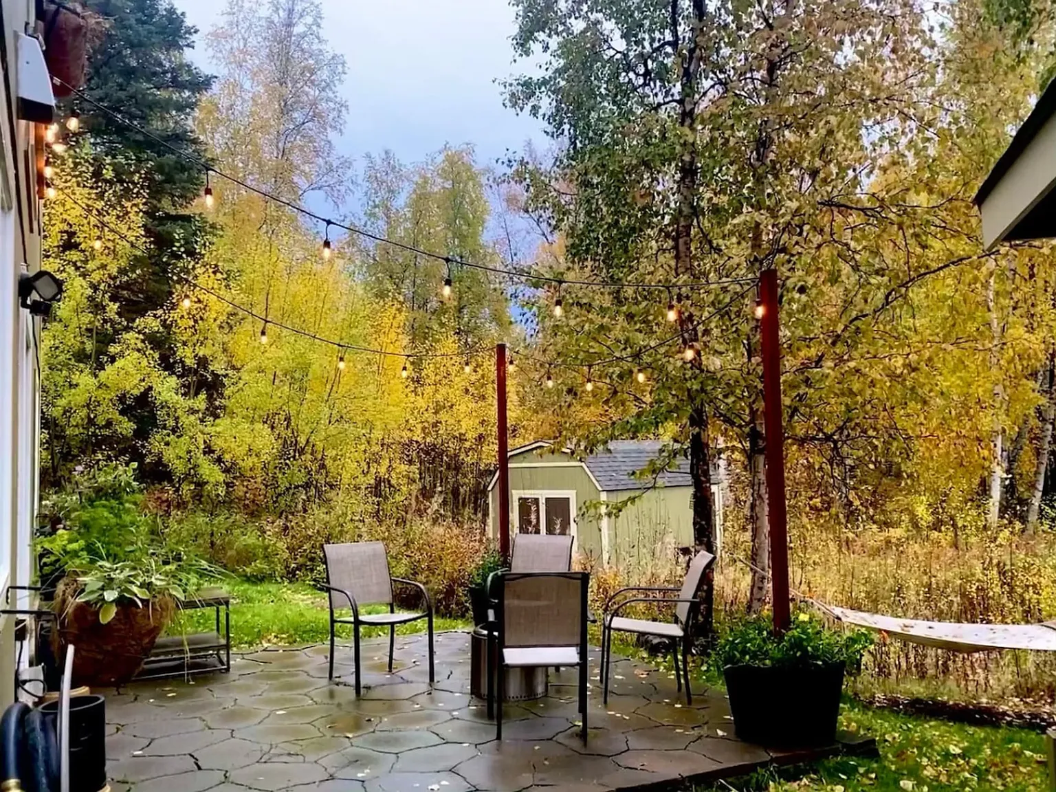 1 bed, 800 sqft, $1,900 — Photo 4