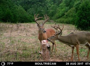 1311 Lodge Grass Rd, Huddleston, VA 24104