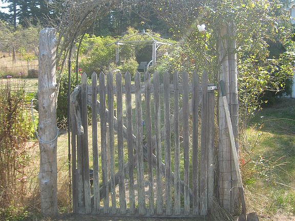 The garden gate
