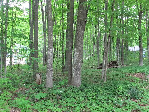 3rd image of 5339 Aspen Way