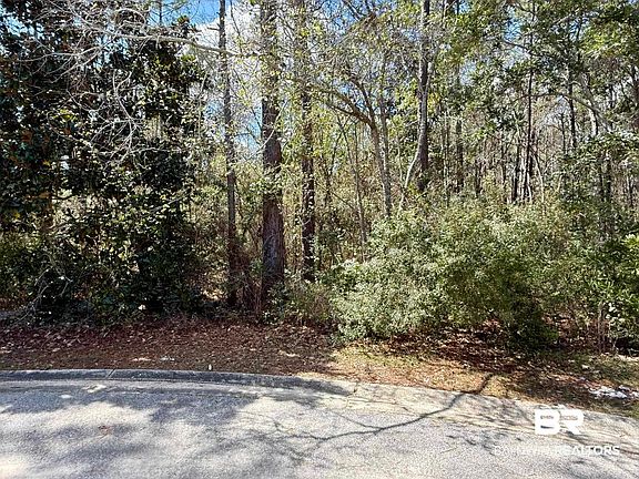 3rd image of 0 Heron Cove Ln