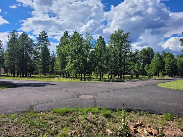 4097 Timberline Dr, Happy Jack, AZ 86024