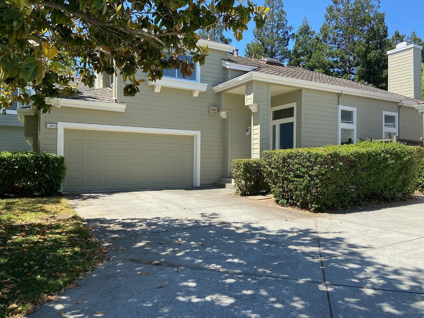 11803 Trinity Spring Ct photo 1