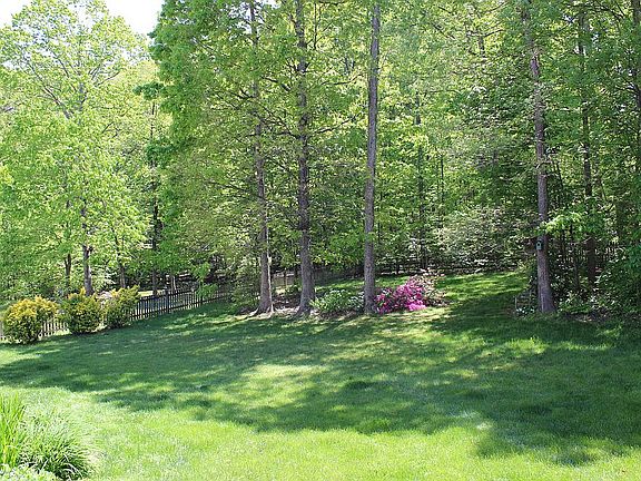 4th image of 13294 Amblewood Dr