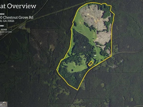 2450 Chestnut Grove Rd #2, Shiloh, GA 31826