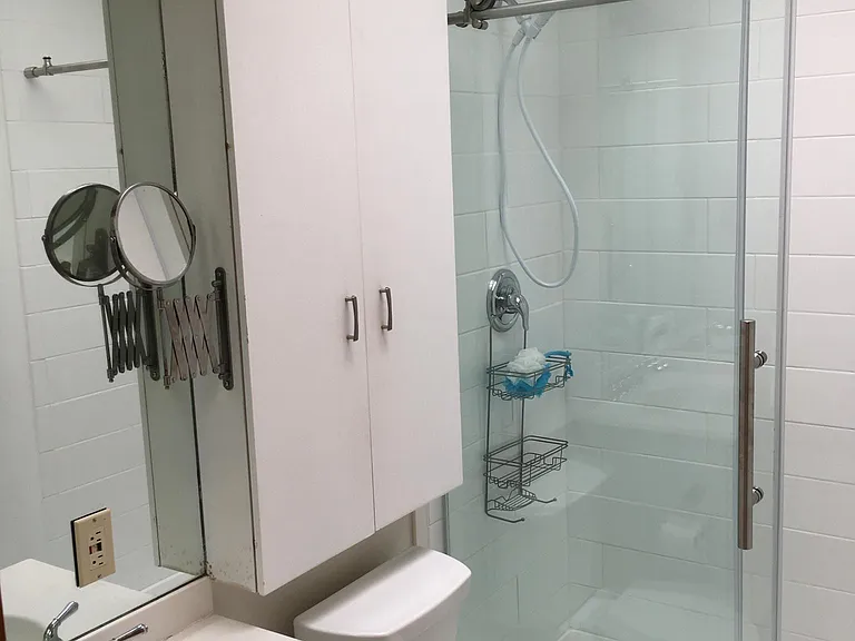 Master bathroom with shower and skylight