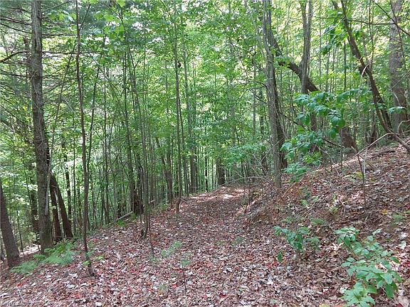 4th image of LOT 10 Grindstone Ln  Ridge