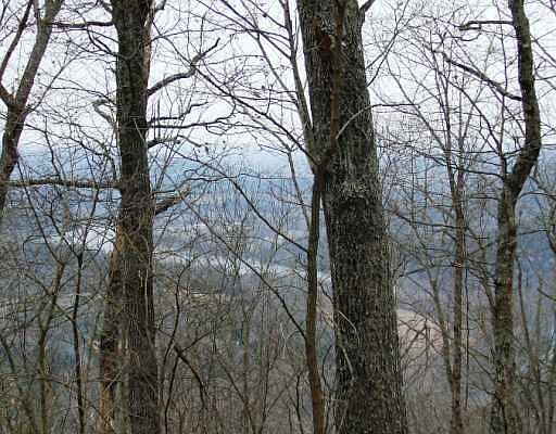 3rd image of 206 County Road Rd