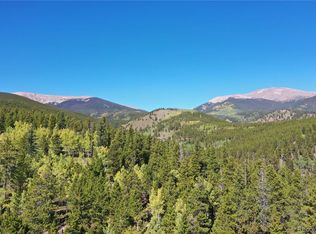 105 Road P62, Bailey, CO 80421
