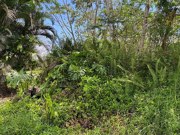 5th image of 19th Ave Lot 85
