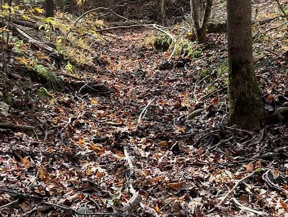 4th image of 4499 Nolin Dam Rd