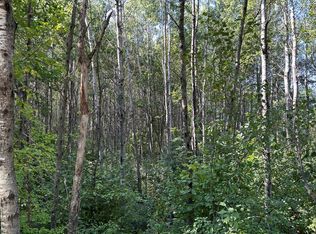 Near Town Line Rd, Solon Springs, WI 54873