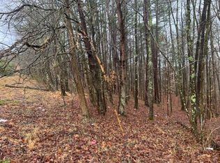 0 Pinch Ridge Rd, Elkview, WV 25071