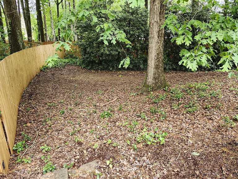 Private, fenced back yard