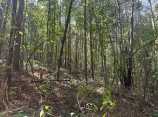 Chapel Hill Rd, Gore Springs, MS 38929