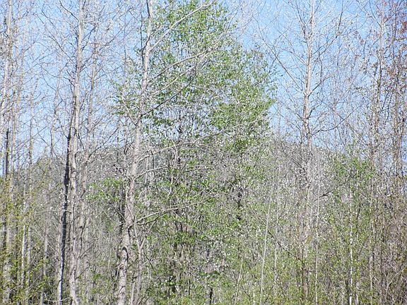 5th image of Lot #2 Mountain View Drive