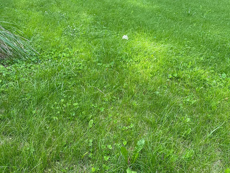 10185 Winkler Dr — Photo 22