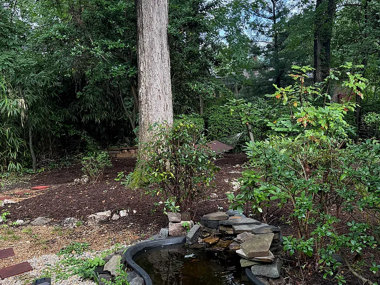 Koi pond in back yard