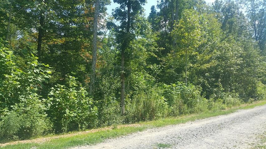1st image of 20 Lark Dr #1