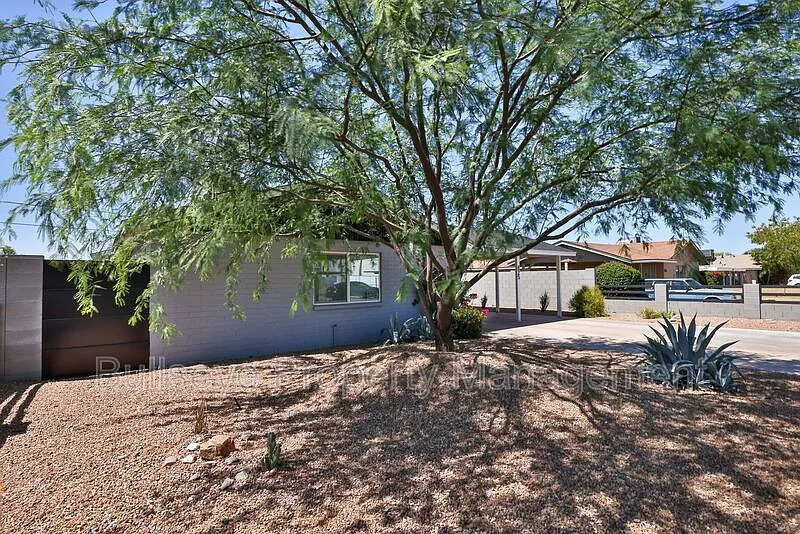 1 bed, 1.0 bath, 648 sqft, $1,175 — Photo 3
