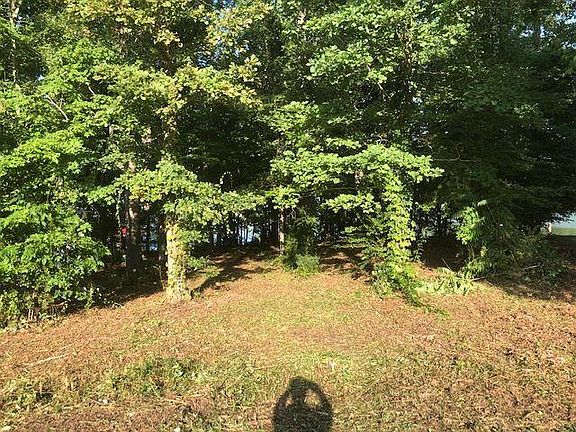 5th image of 242 Chickasaw Ln Lot 4