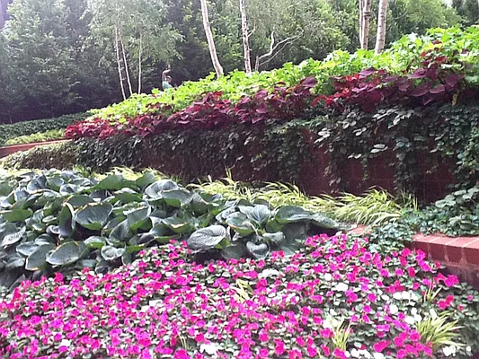 Rented by Sotheby's International Realty | media 24