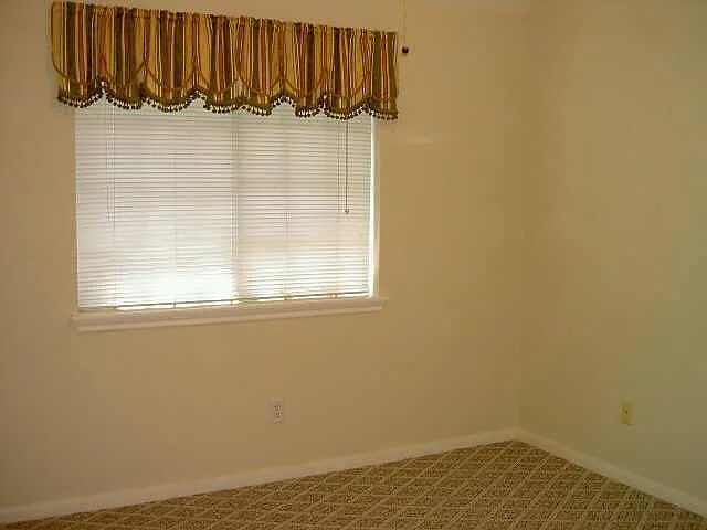 4542 Springfield Lakes St — Photo 14