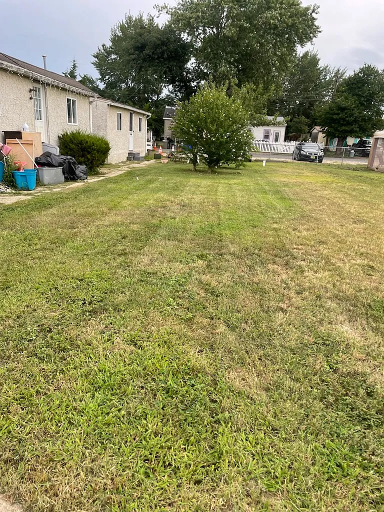 Cape May Lot 4 - B — Photo 4