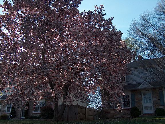 Springtime
